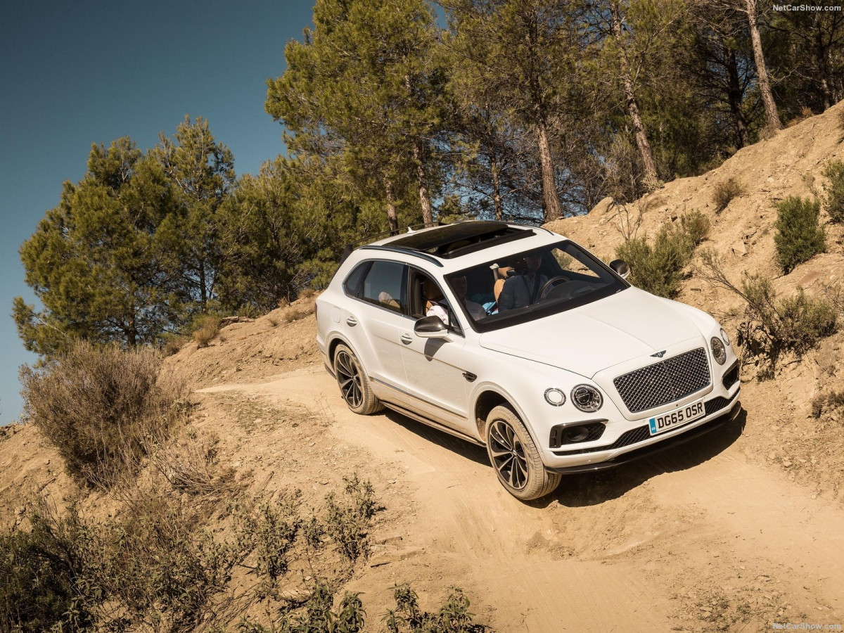 Bentley Bentayga фото 163290