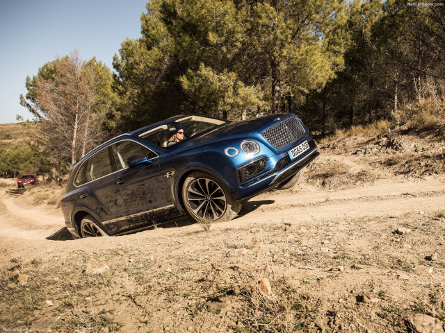 Bentley Bentayga фото