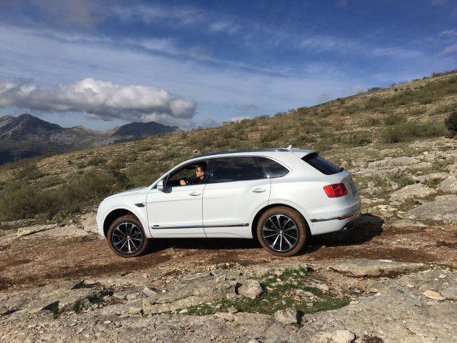 Bentley Bentayga фото