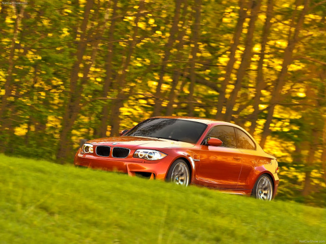 BMW 1-series M Coupe фото