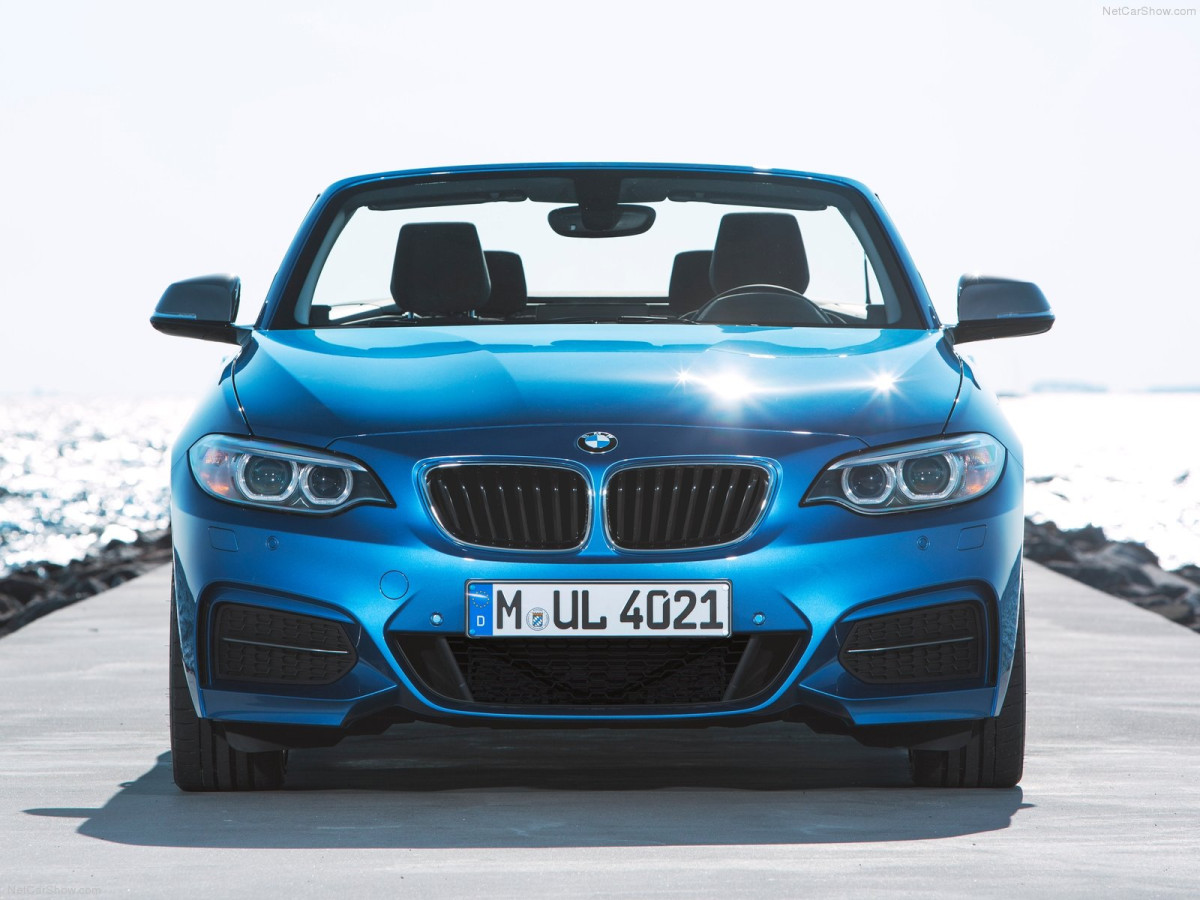 BMW 2-Series Convertible фото 134096