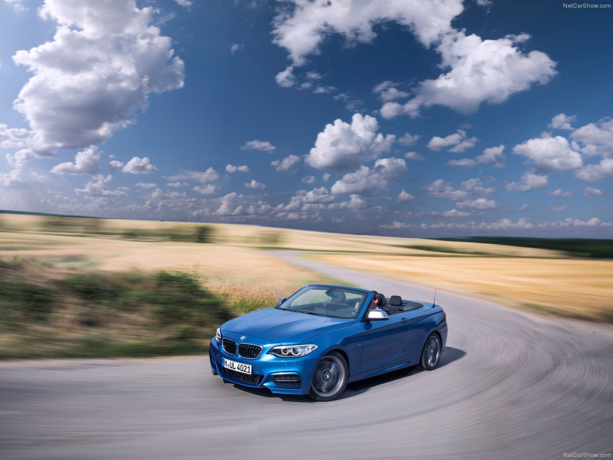 BMW 2-Series Convertible фото 134110