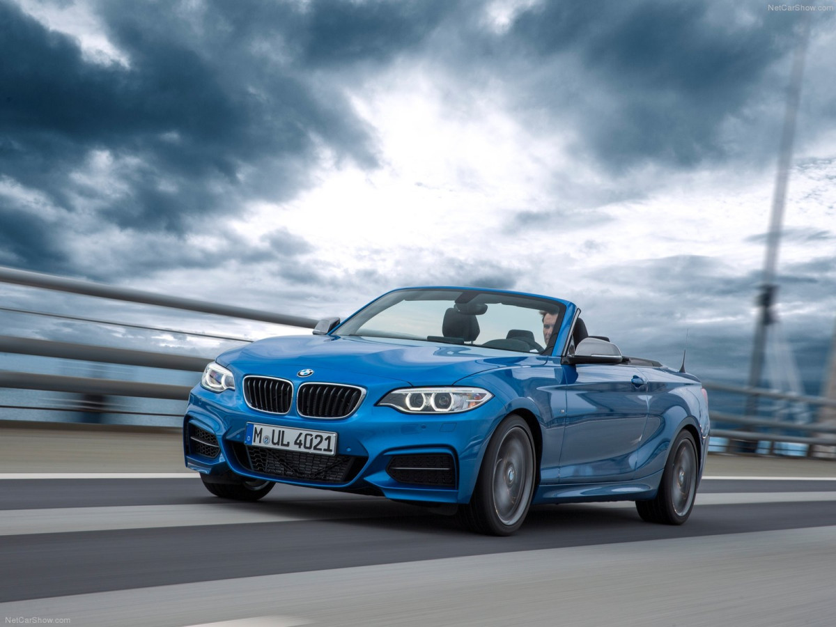 BMW 2-Series Convertible фото 134111