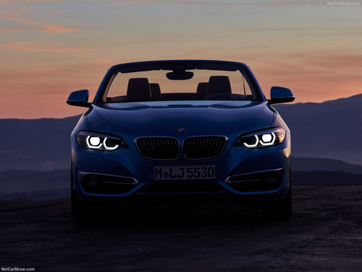 BMW 2-Series Convertible фото 183558