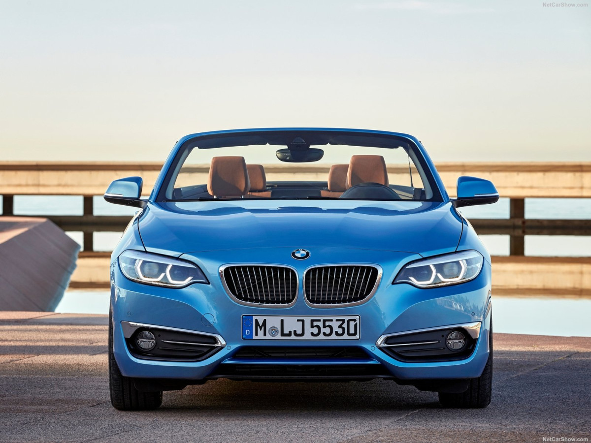 BMW 2-Series Convertible фото 186681