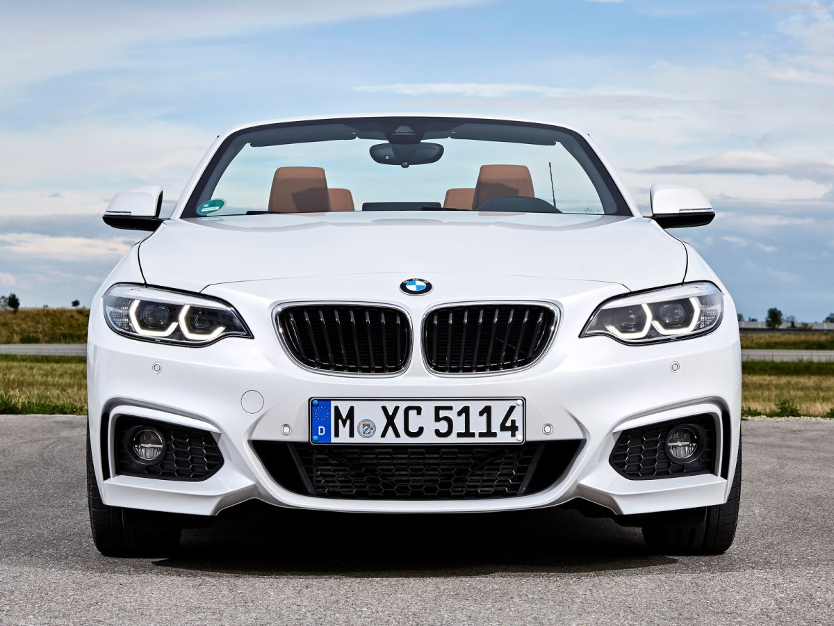 BMW 2-Series Convertible фото 186690