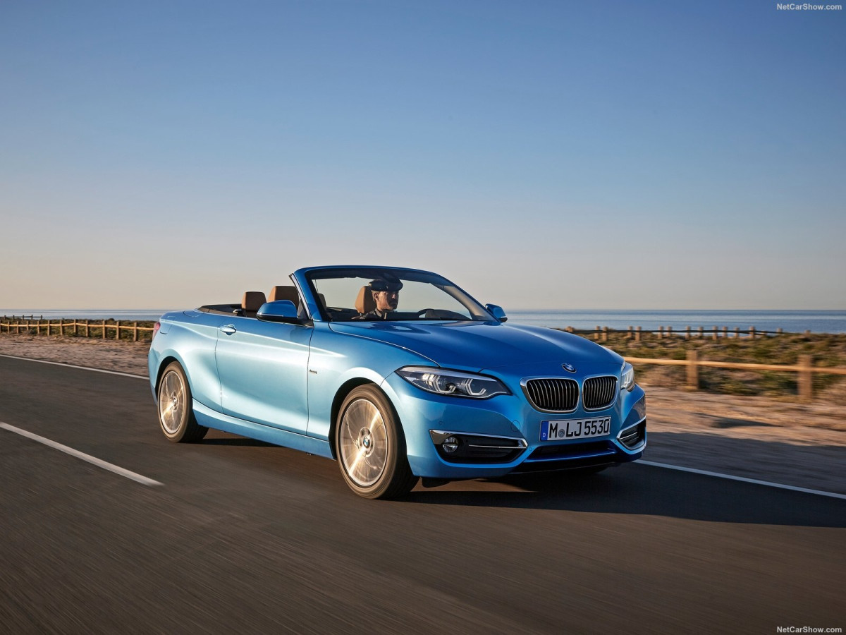 BMW 2-Series Convertible фото 186698