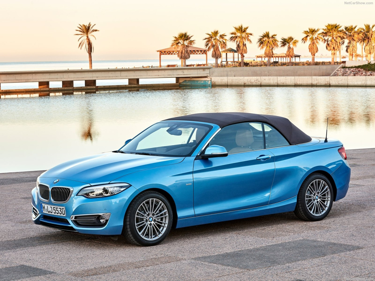 BMW 2-Series Convertible фото 186699