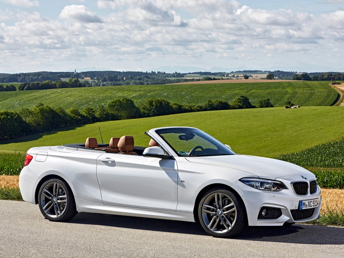 BMW 2-Series Convertible фото 186701