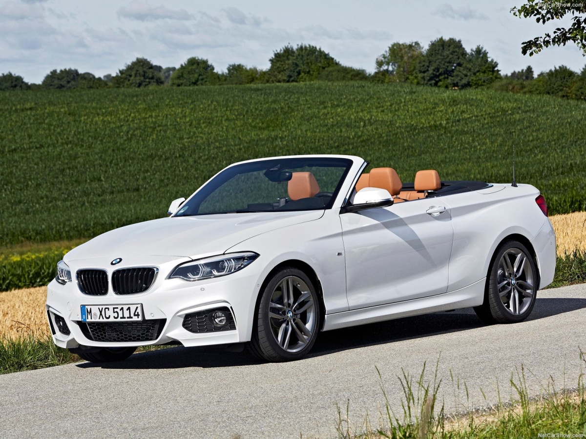 BMW 2-Series Convertible фото 186702