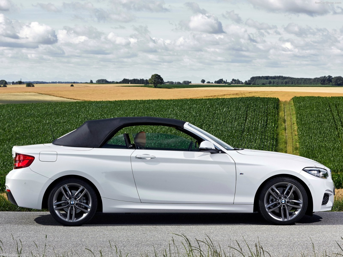 BMW 2-Series Convertible фото 186706