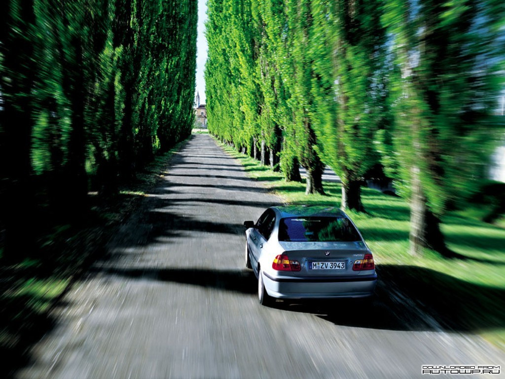 BMW 3-series E46 фото 64578