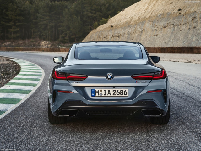 BMW 8-series G15 фото