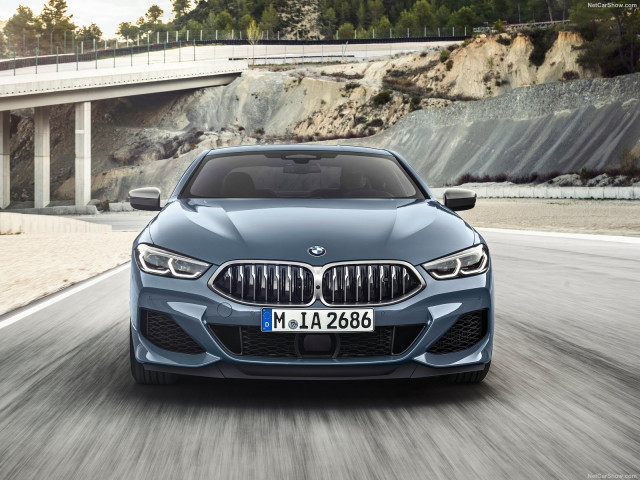 BMW 8-series G15 фото