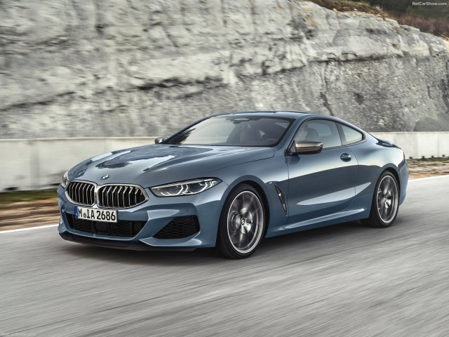 BMW 8-series G15 фото