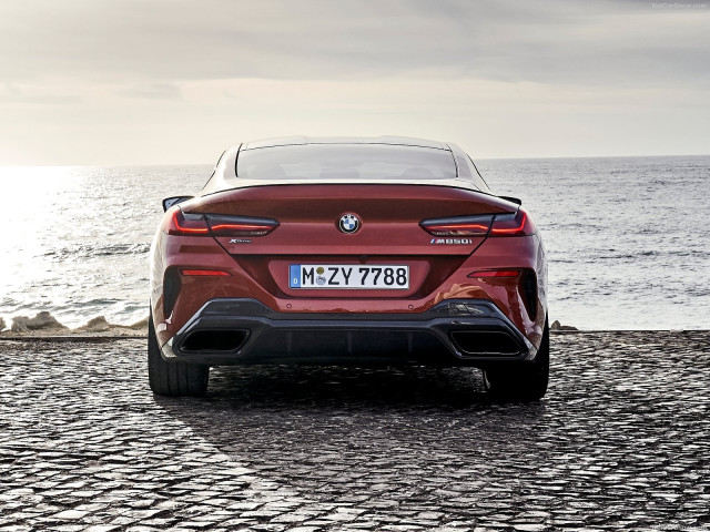 BMW 8-series G15 фото