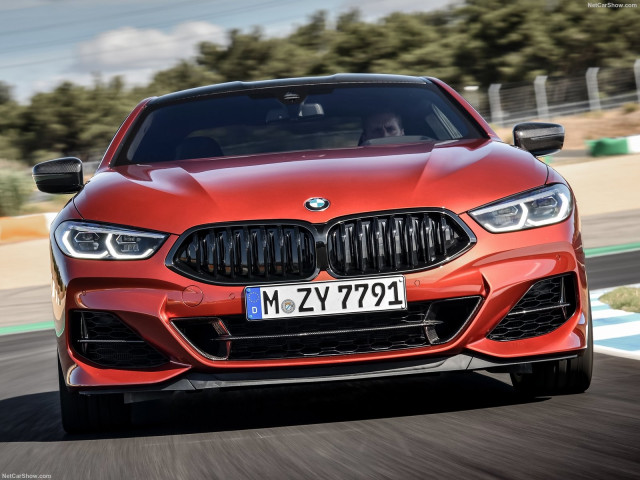 BMW 8-series G15 фото