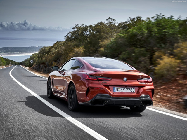 BMW 8-series G15 фото