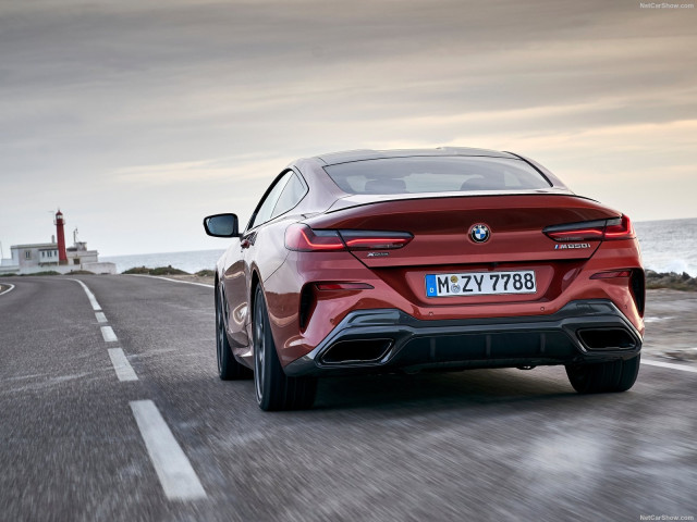 BMW 8-series G15 фото