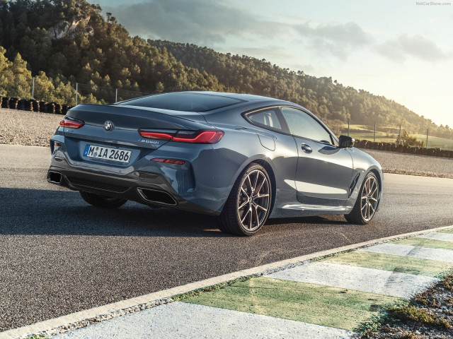 BMW 8-series G15 фото