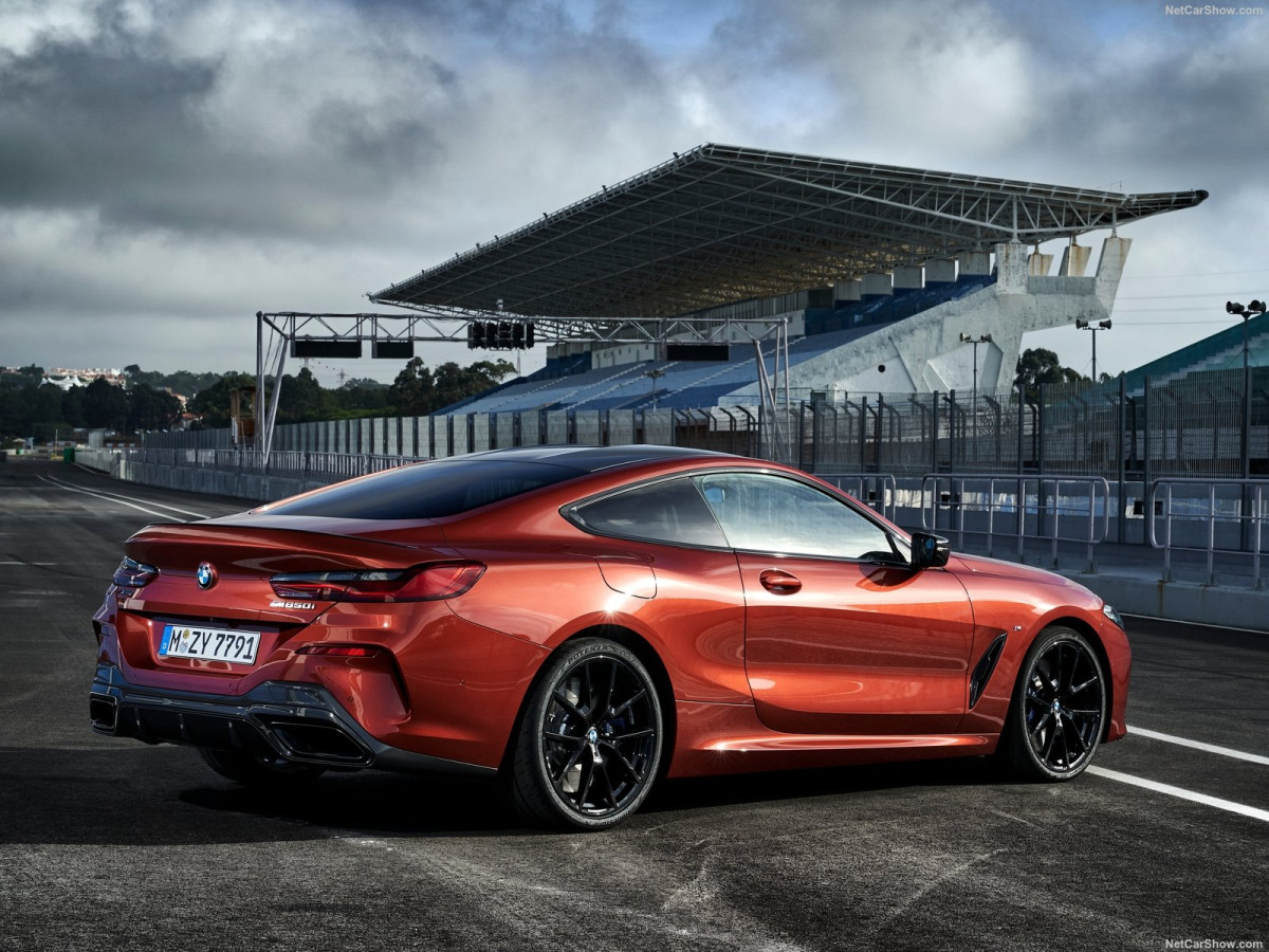 BMW 8-series G15 фото 198235