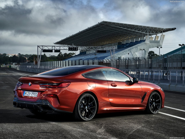 BMW 8-series G15 фото