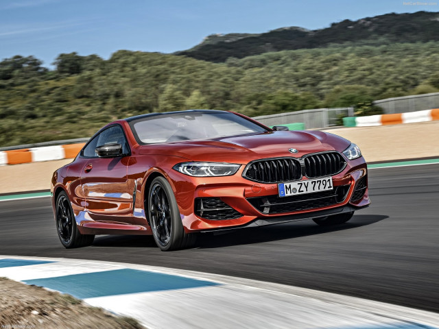 BMW 8-series G15 фото