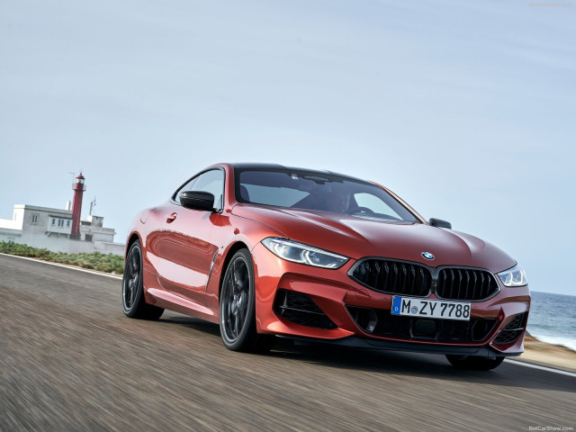 BMW 8-series G15 фото