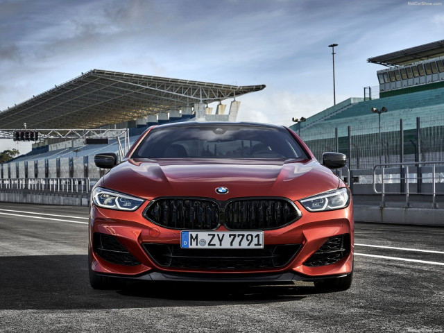 BMW 8-series G15 фото