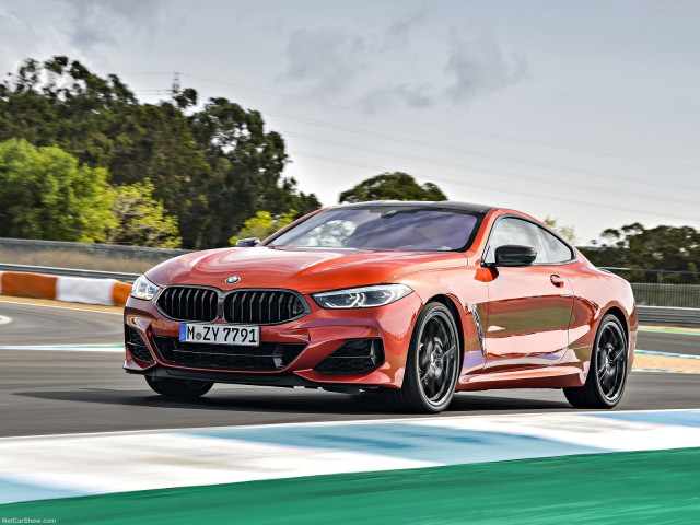 BMW 8-series G15 фото