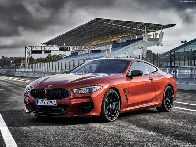 BMW 8-series G15 фото