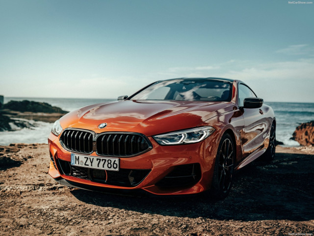 BMW 8-series G15 фото