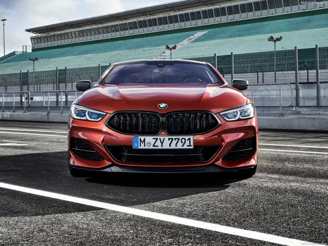 BMW 8-series G15 фото