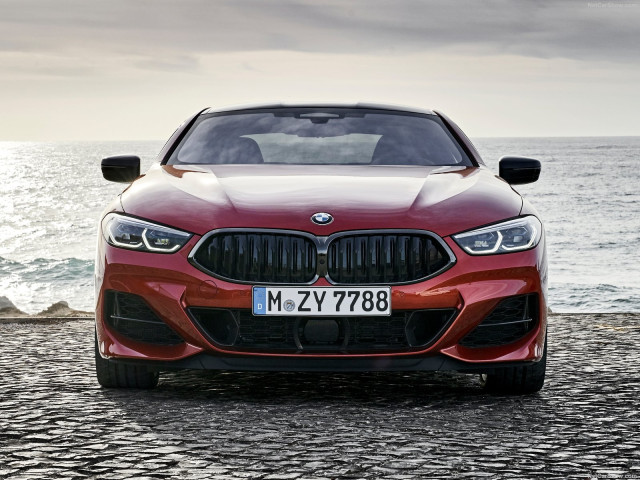 BMW 8-series G15 фото