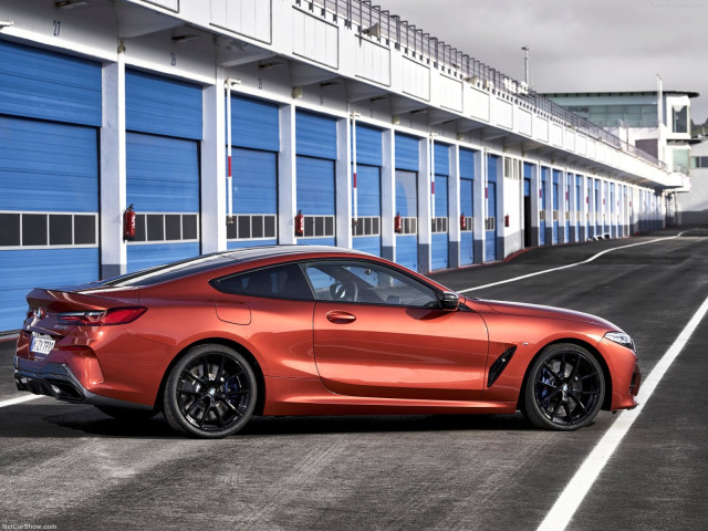 BMW 8-series G15 фото