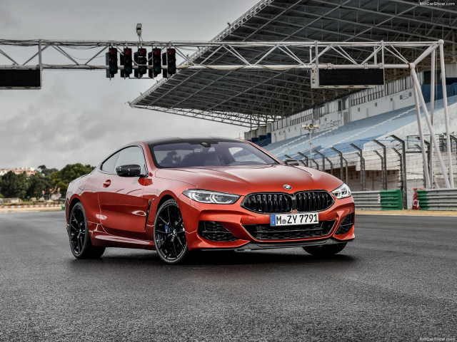 BMW 8-series G15 фото