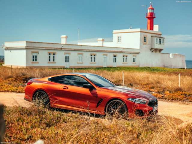 BMW 8-series G15 фото