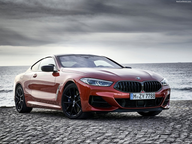 BMW 8-series G15 фото