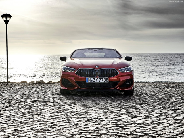 BMW 8-series фото