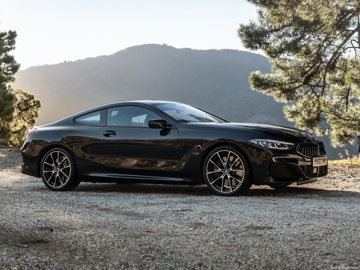 BMW 8-series фото 199533