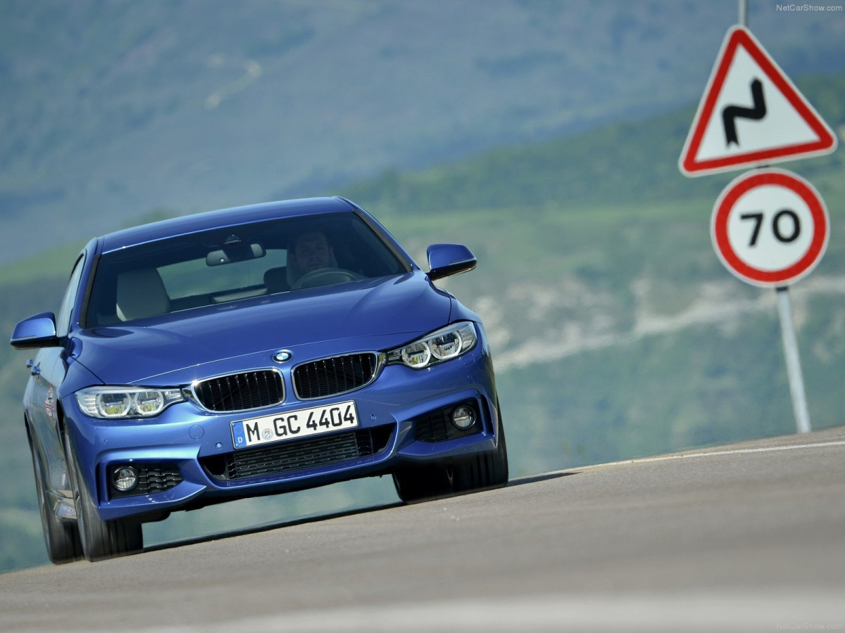 BMW 4-Series Gran Coupe фото 166746