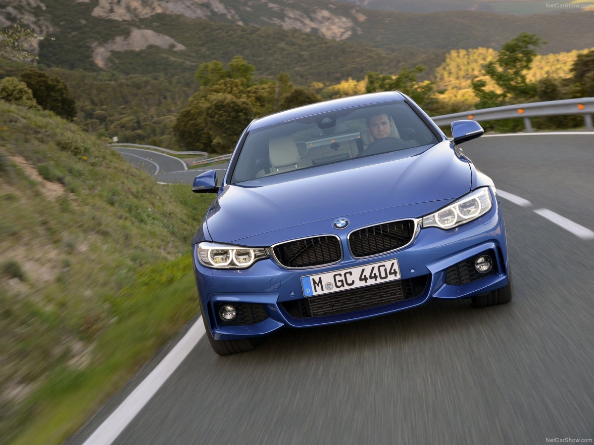 BMW 4-Series Gran Coupe фото 166749