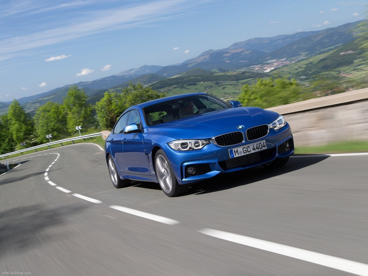 BMW 4-Series Gran Coupe фото 166788