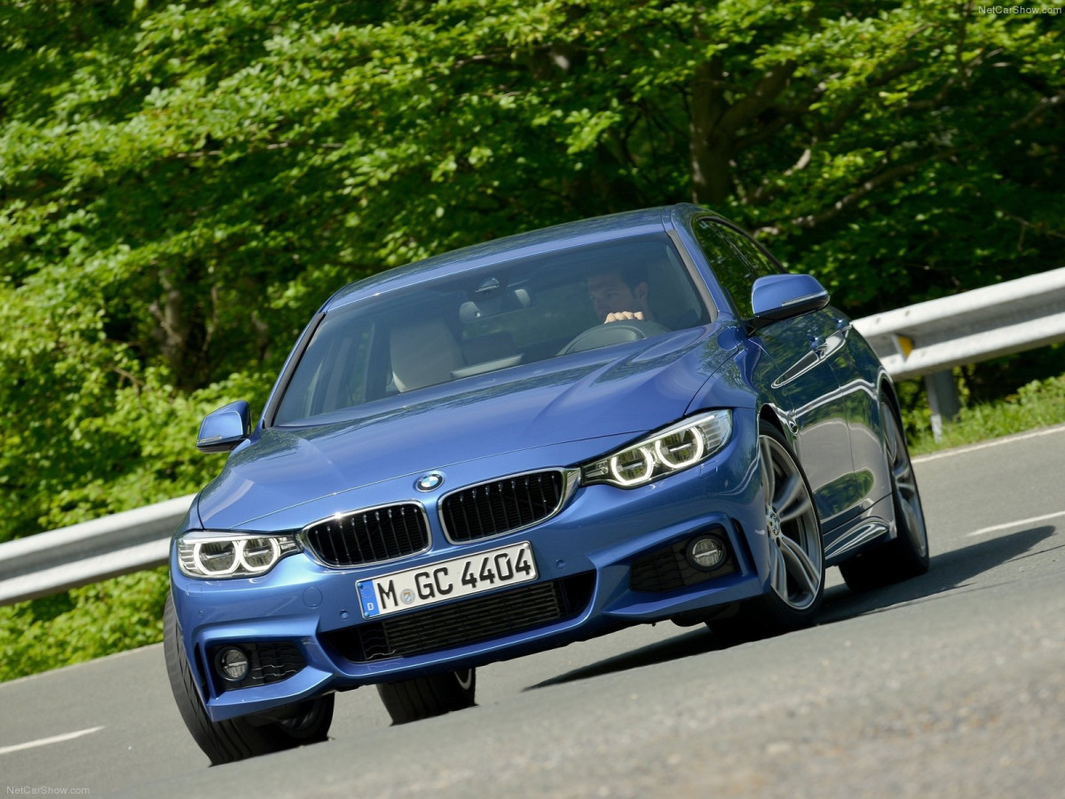 BMW 4-Series Gran Coupe фото 166794