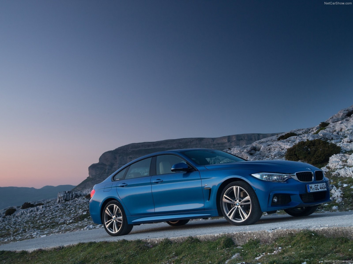 BMW 4-Series Gran Coupe фото 166800