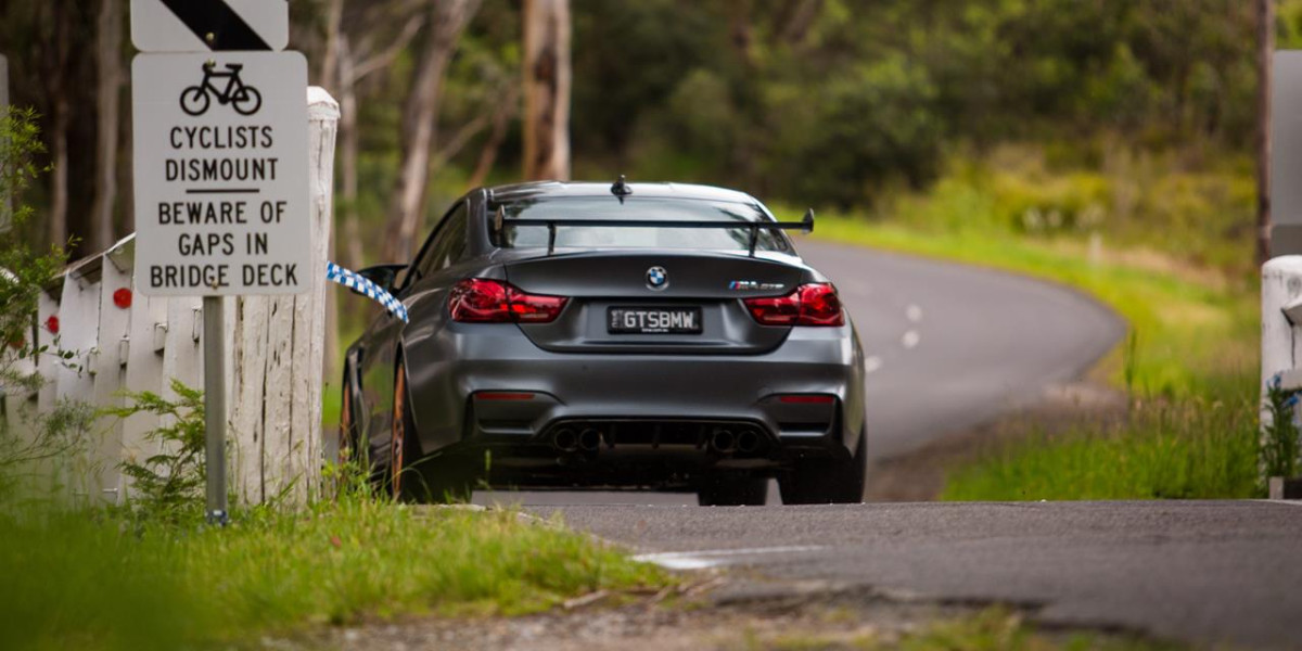 BMW M4 GTS фото 177454