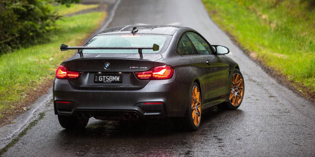 BMW M4 GTS фото 177478