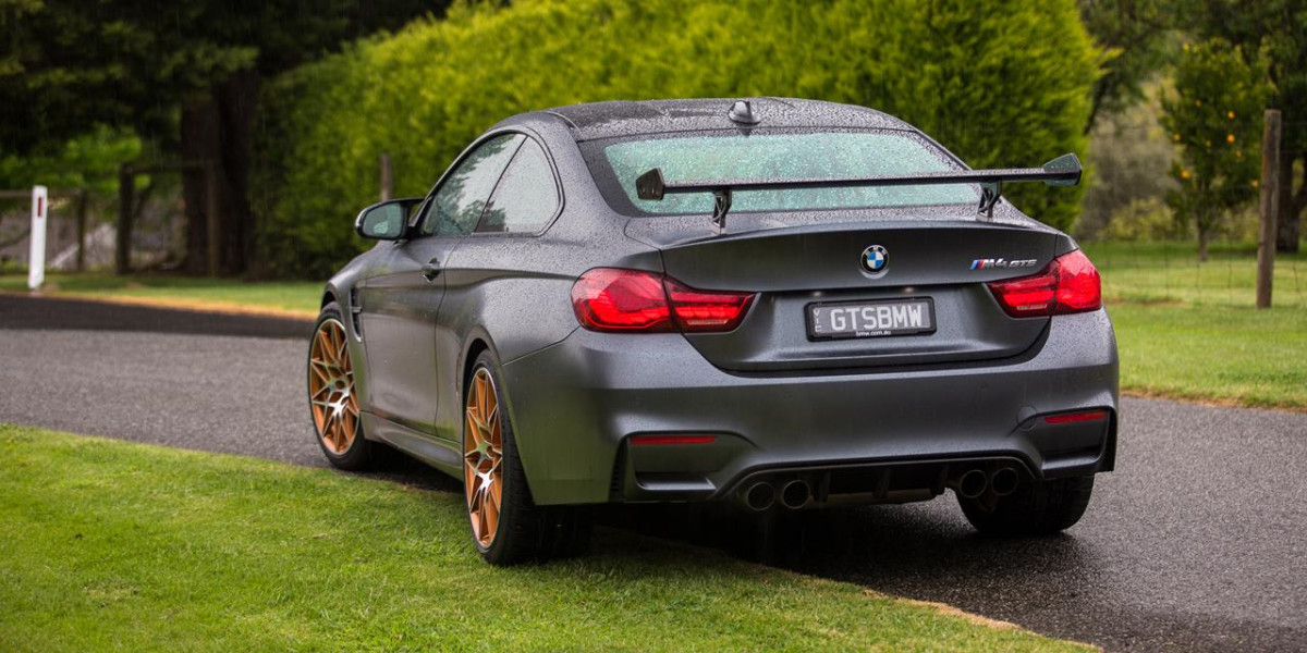 BMW M4 GTS фото 177482