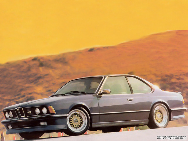 BMW M6 E24 фото