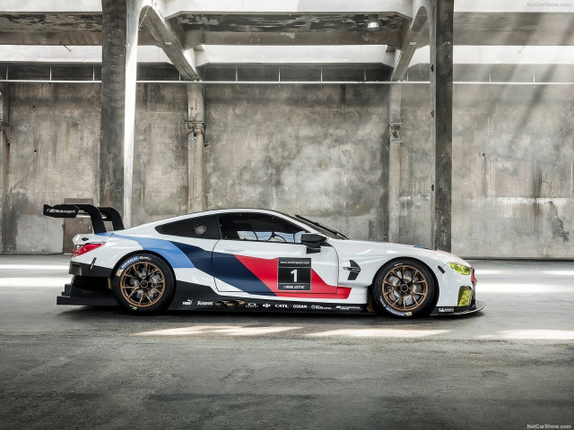 BMW M8 GTE Racecar фото